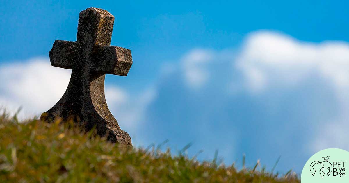 Cimitero per cani