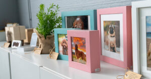 Petbyebye-cremazione singola