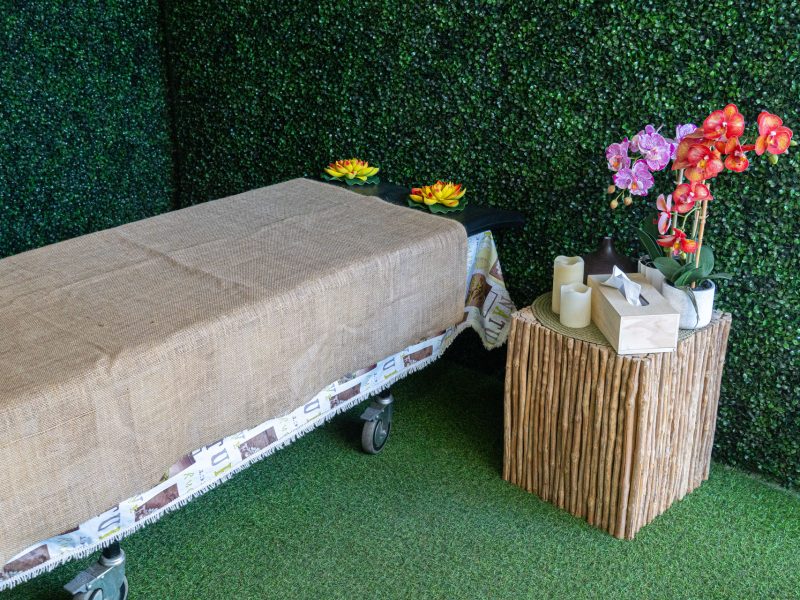 Lugo-del-rito-cremazione-animali