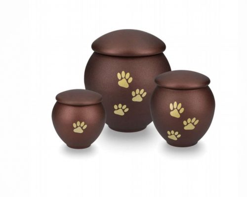 PET BROWN