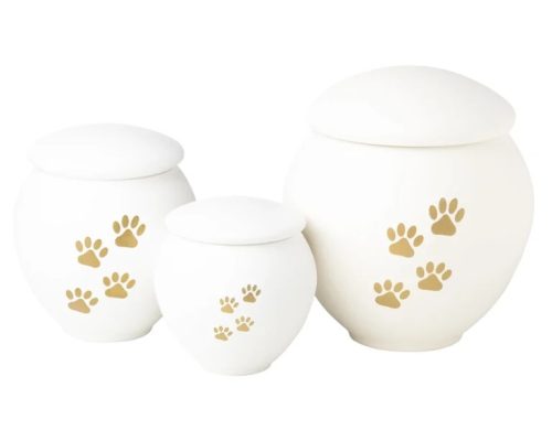 Pet-White