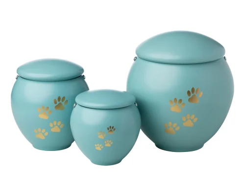 Pet-tiffany-bcp (1)