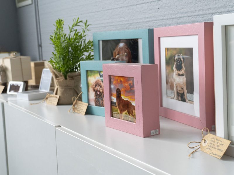 Urne-per-animali-a-Milano